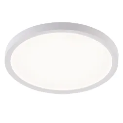 Потолочный светильник Natali Kovaltseva Plain LED LAMPS 81113/2C