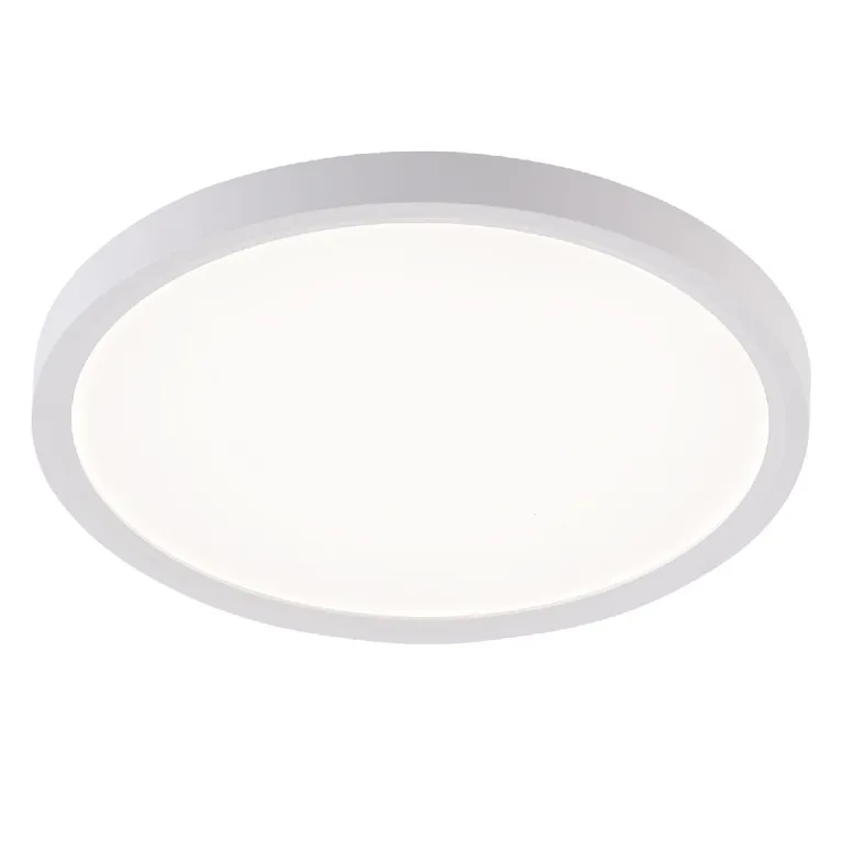 Потолочный светильник Natali Kovaltseva Plain LED LAMPS 81113/2C