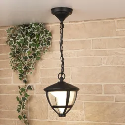 Уличный подвесной светодиодный светильник Elektrostandard Gala GL LED 3001H 4690389134562