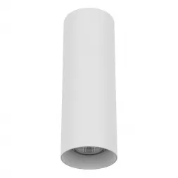 Потолочный светильник Lightstar Rullo 216496