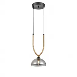 Подвесной светильник Vele Luce Astiy VL5434P01