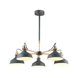 Подвесная люстра Odeon Light Lurdi 3329/5