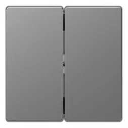 Клавиша двойная Schneider Electric Merten D-Life MTN3400-6036