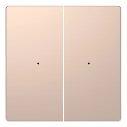 Клавиша двойная Schneider Electric Merten D-Life MTN5220-6051