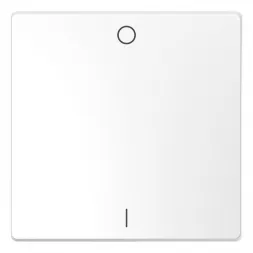 Клавиша одинарная Schneider Electric Merten D-Life MTN3301-6035