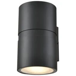 Уличный настенный светильник Wertmark Wenzel WE921.01.021