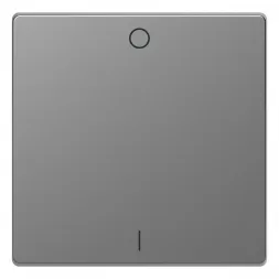 Клавиша одинарная Schneider Electric Merten D-Life MTN3301-6036