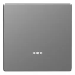 Клавиша одинарная Schneider Electric Merten D-Life MTN3320-6036