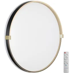 Настенно-потолочный светодиодный светильник Sonex Pale Olidi Black 7647/EL