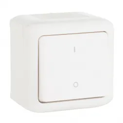 Выключатель одноклавишный двухполюсный Legrand Quteo 10A 250V IP44 белый 782309