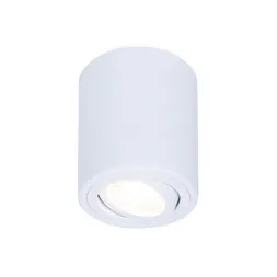 Потолочный светильник Ambrella light Techno Spot TN225