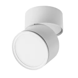 Накладной спот Lightstar Acuto 215886