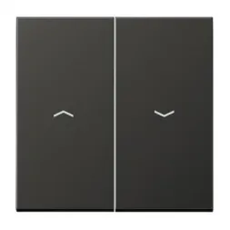 Клавиша двойная жалюзийная Jung LS 990 антрацит AL2995PAN