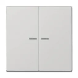 Клавиша двойная перекидная Jung LS995KO5LG