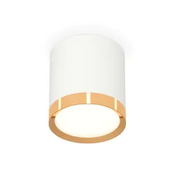 Потолочный светильник Ambrella Light Techno Spot XS8141004 (C8141, N8124)