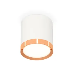 Потолочный светильник Ambrella Light Techno Spot XS8141005 (C8141, N8126)