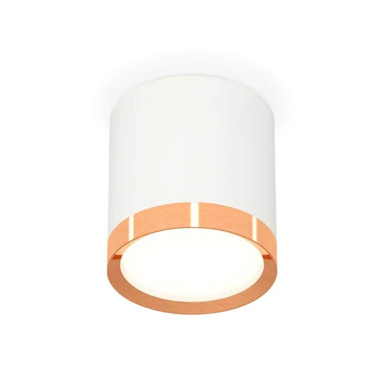 Потолочный светильник Ambrella Light Techno Spot XS8141005 (C8141, N8126)