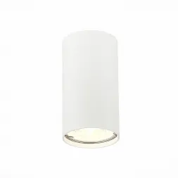 Потолочный светильник ST Luce ST110.507.01
