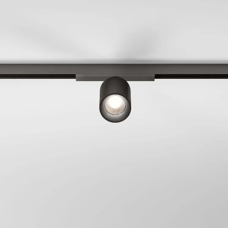 Трековый магнитный светильник Elektrostandard Line Magnetic 85525/01 4690389213687 a069710