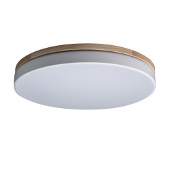 Потолочный светодиодный светильник Loft IT Axel 10001/36 white