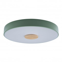 Потолочный светодиодный светильник Loft IT Axel 10003/24 green
