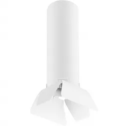 Потолочный светильник Lightstar Rullo (214496+202436) R496436
