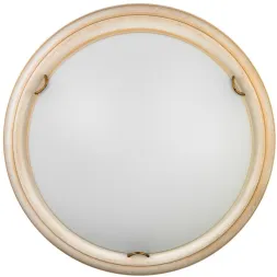 Настенно-потолочный светодиодный светильник Sonex Snok Provence 7605/BL