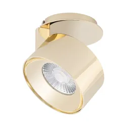 Точечный светильник Arlight Plurio-Lamp-R77-9W Day4000 030256