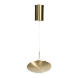 Подвесной светодиодный светильник Loft IT Ruedo 10036/200