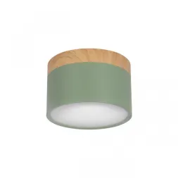 Накладной светодиодный светильник Loft IT Grape 10162 Green