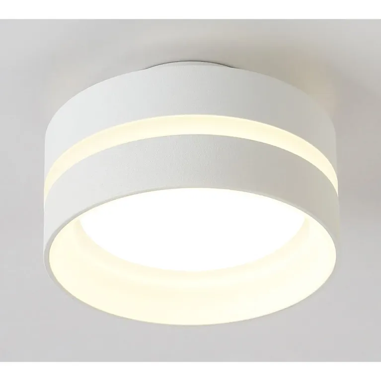 Потолочный светильник Ambrella light TN5419