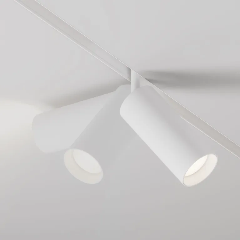 Трековый магнитный светильник Maytoni Focus LED TR032-4-20WTW-S-DD-W