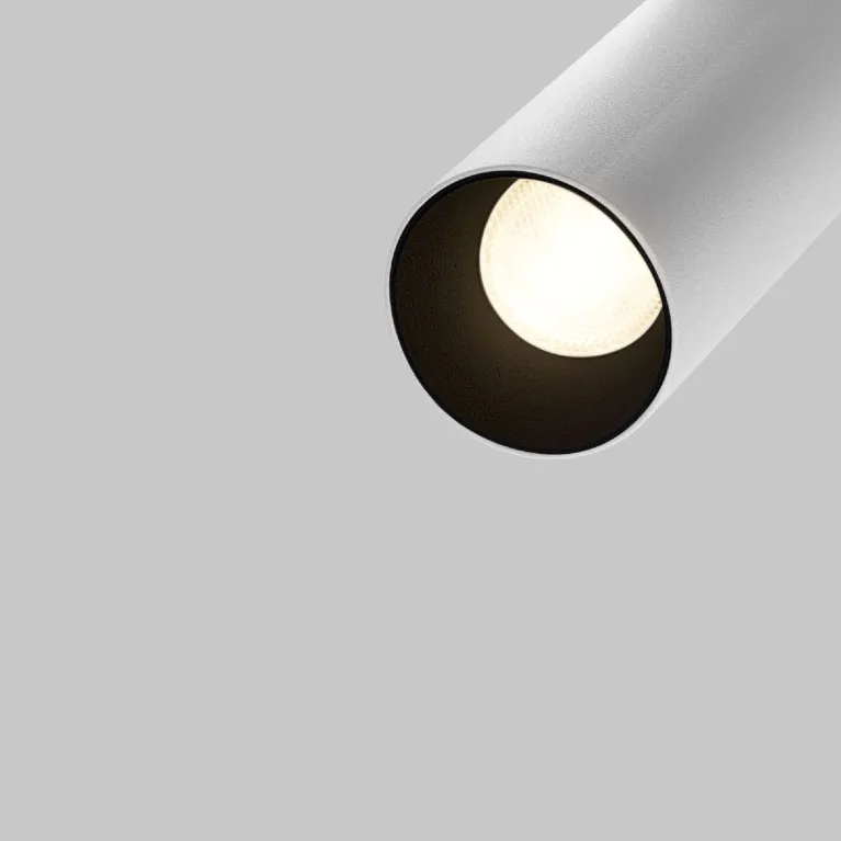 Трековый магнитный светильник Maytoni Focus LED TR032-4-5WTW-S-DD-W