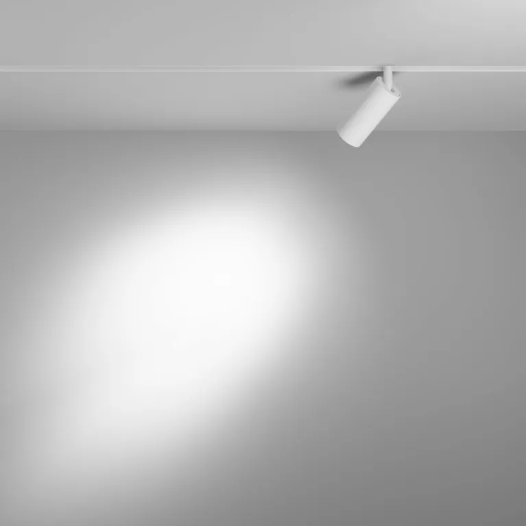 Трековый магнитный светильник Maytoni Focus LED TR032-4-5WTW-S-DD-W