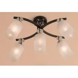 Спот Citilux Фортуна CL156151