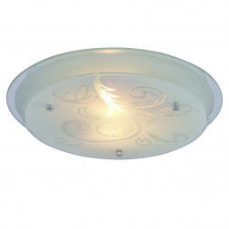 Потолочный светильник Arte Lamp A4865PL-2CC