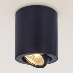 Потолочный светильник Citilux Дюрен CL538112