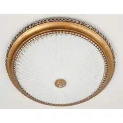 Потолочный светильник Citilux Тренди-2 CL425502