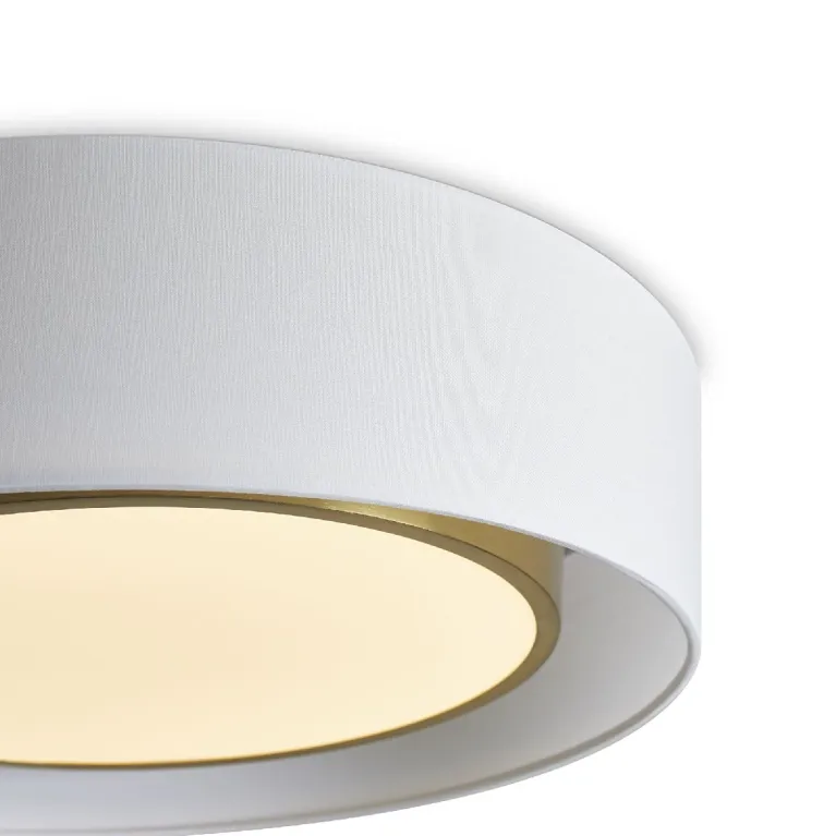 Потолочный светильник Freya Cozy FR6170CL-L52BS