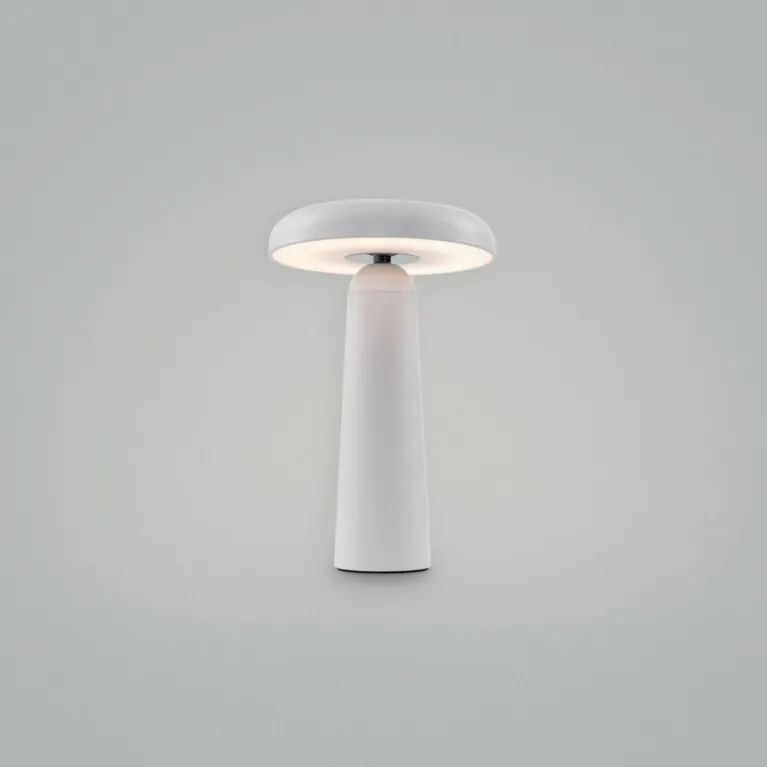 Настольная аккумуляторная лампа Freya Mushroom FR6109TL-L4W