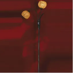 Торшер Lussole Bagheria LSF-6205-02