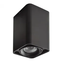 Потолочный светильник Lightstar Monocco 212537