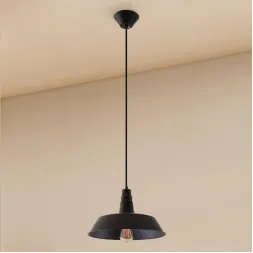 Подвесной светильник Citilux Эдисон CL450204