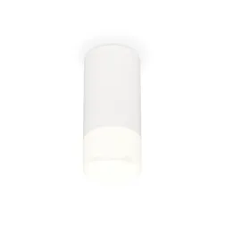 Потолочный светильник Ambrella Light Techno Spot XS8161003 (C8161, N8402)