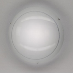 Настенный светильник Citilux Лайн CL918081