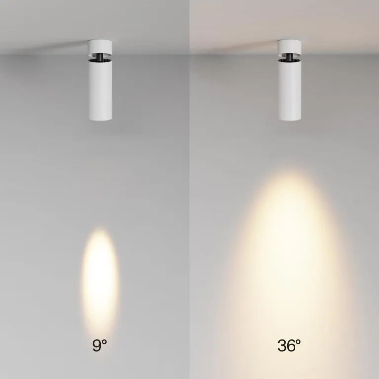 Спот Maytoni Technical Focus Led C055CL-L12W2.7K-SS-W