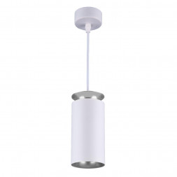 Подвесной светодиодный светильник Elektrostandard DLS021 9+4W 4200К белый матовый/серебро 4690389144