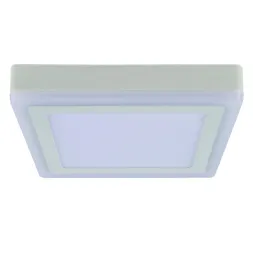 Потолочный светодиодный светильник Arte Lamp Altair A7716PL-2WH