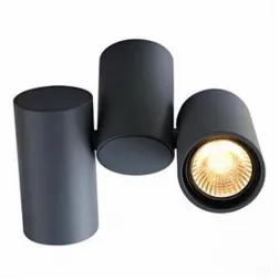 Спот Arte Lamp Gavroche A1511PL-2GY