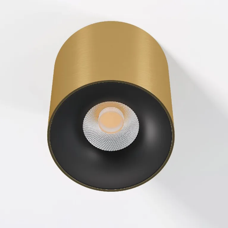 Накладной светильник Elektrostandard Primo 25116/LED 4690389212994 a069413